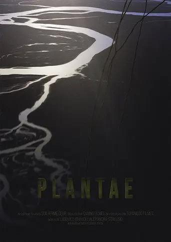 Plantae (2017)