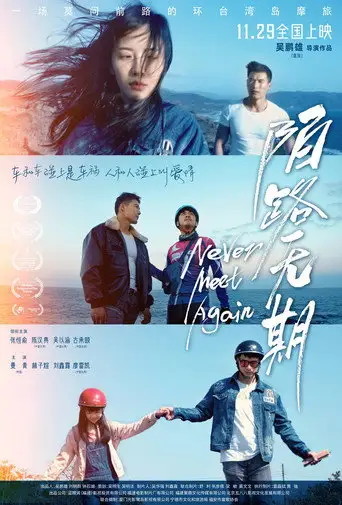Never Meet Again (2024)