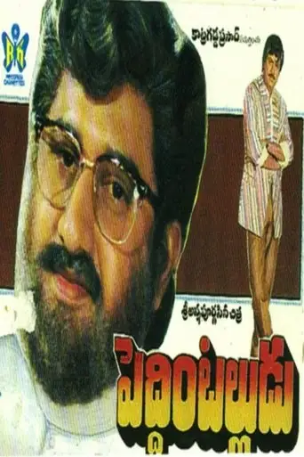 Peddinti Alludu (1991)