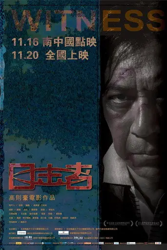 Witness (2012)