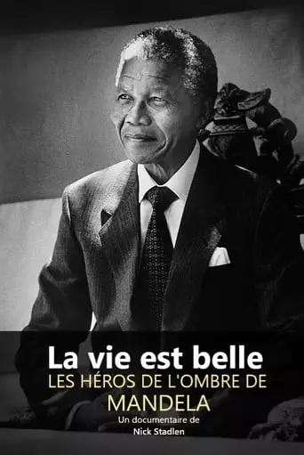 Life Is Wonderful: Mandela's Unsung Heroes (2018)