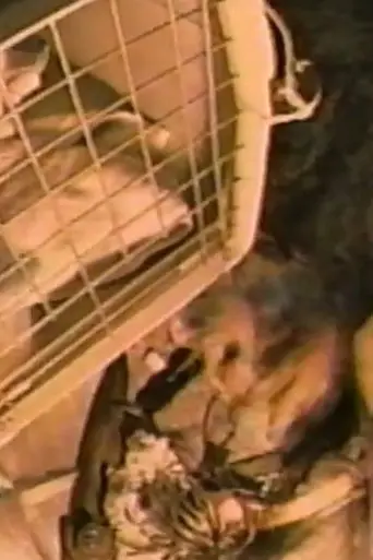 Mr. Withers' Apartment (1995)