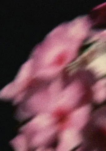 Five Year Diary, Reel 80: Emily Died (May 14–September 26, 1994) (1994)