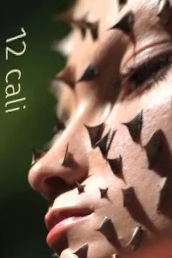 12 cali (2018)