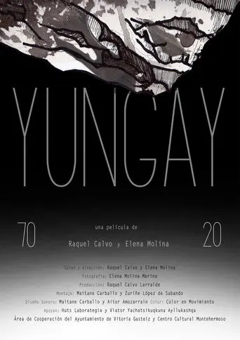 Yungay 7020 (2022)