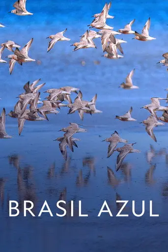 Blue Brazil (2022)