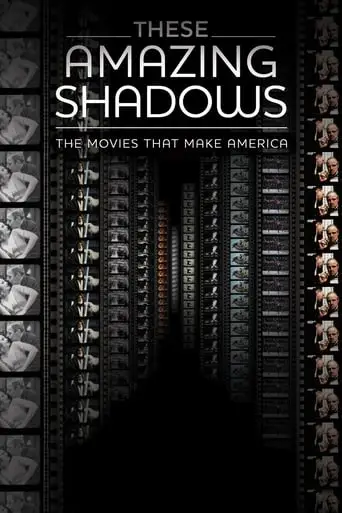 These Amazing Shadows (2011)