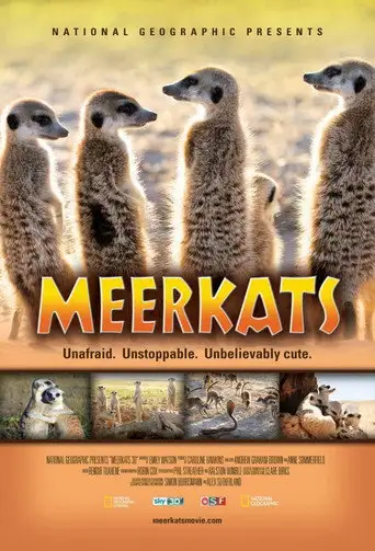 Meerkats 3D (2011)