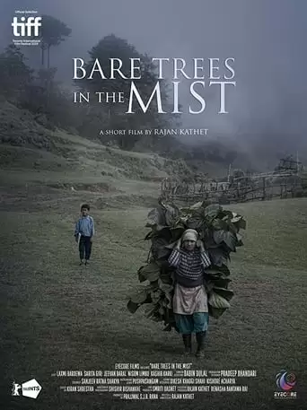Bare Trees In The Mist (2019)