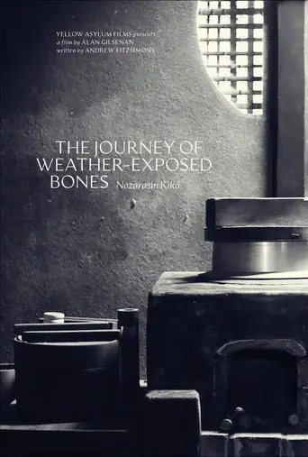 The Journey of Weather-Exposed Bones (2026)
