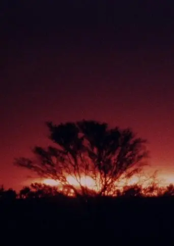 The Second Journey (To Uluru) (2019)
