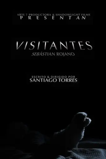 Visitors (2023)