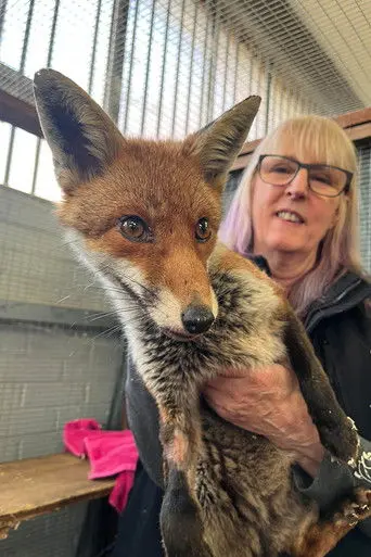 Secrets of the Southwest: Science Behind the Secrets (2026)