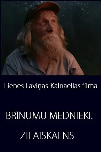 Miracle Hunters: Zilaiskalns (2018)
