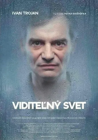 Visible World (2011)