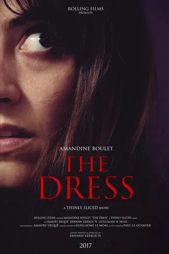 The Dress (2017)