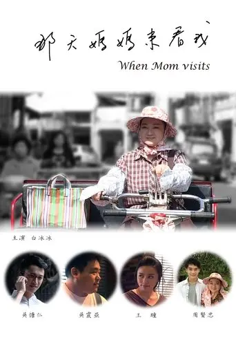 那天媽媽來看我 (2013)