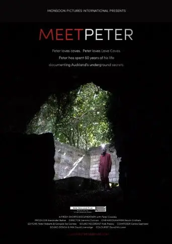 Meet Peter (2016)