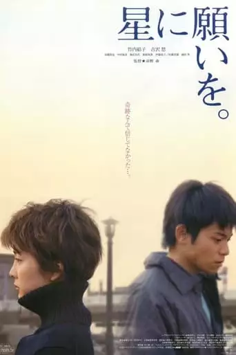 Night of the Shooting Stars (2003)
