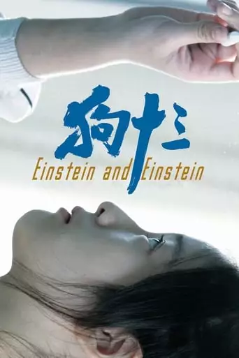 Gou Shi San (2013)