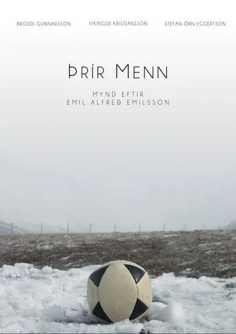 Three men (2017)