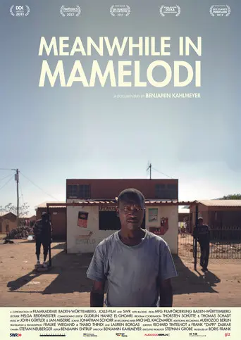 Meanwhile in Mamelodi (2011)