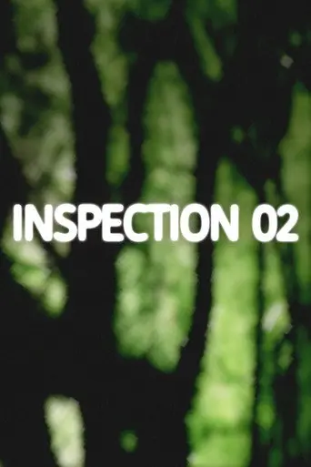 Inspection 02 (2025)