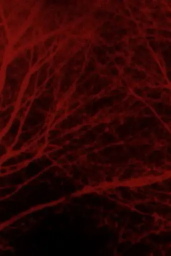 Bad Blood (2013)