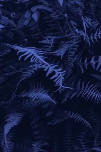 Elastic Jungle (2019)