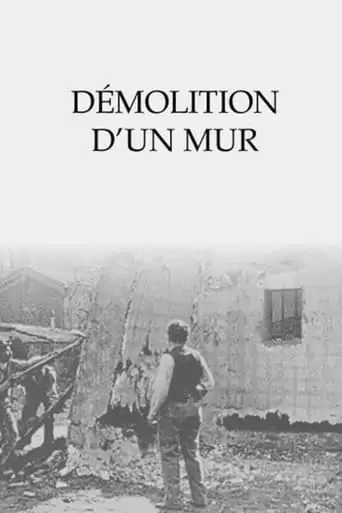 Demolition Of A Wall (1896)