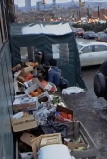 Surfing the Waste: a Musical Documentary about Dumpster Diving (2008)