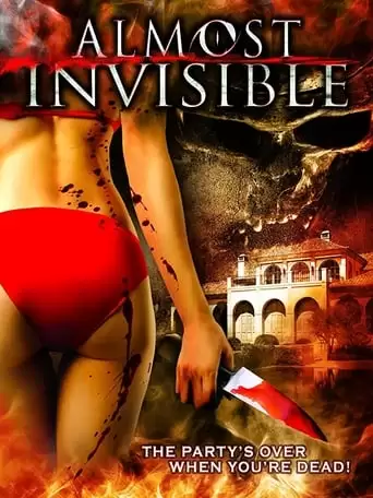 Almost Invisible (2010)