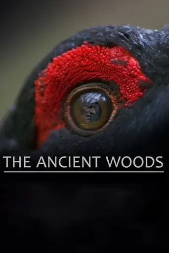 The Ancient Woods (2018)