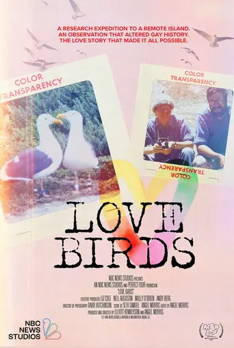 Love Birds (2025)