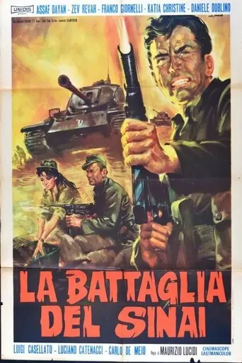 La battaglia del Sinai (1969)
