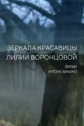 Mirrors of the Beautiful Lilia Vorontsova (2014)