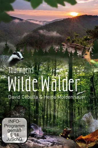 Wild Forests (2022)