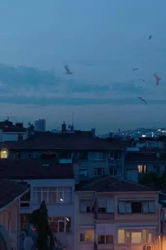 Deceptive Depths (2023)