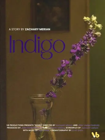 INDIGO (2026)