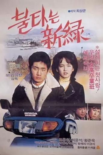 A Country Affair (1984)
