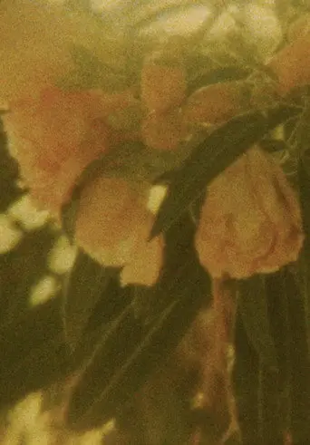 Seasons/Patterns (2020)