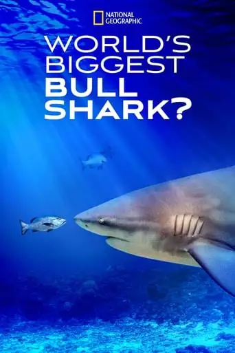 World's Biggest Bull Shark (2021)