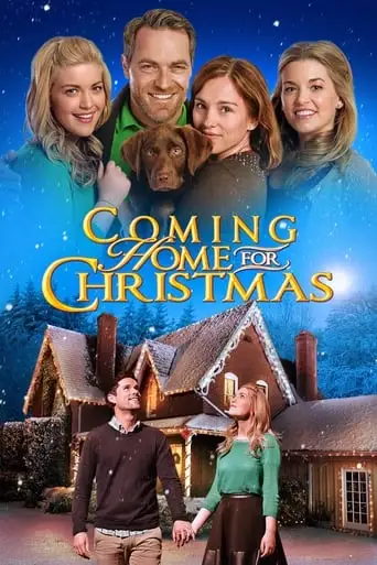 Coming Home for Christmas (2013)