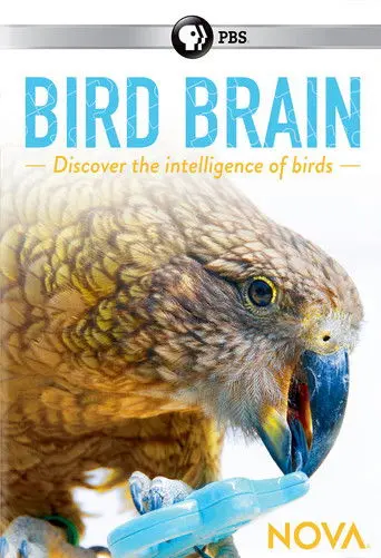 NOVA: Bird Brain (2017)