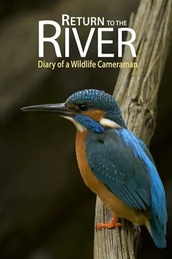 Return to the River (2015)