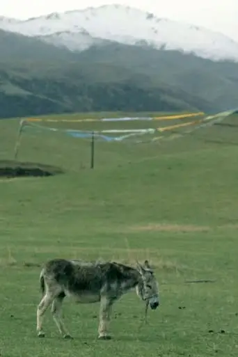 The Boys And The Donkey (2024)