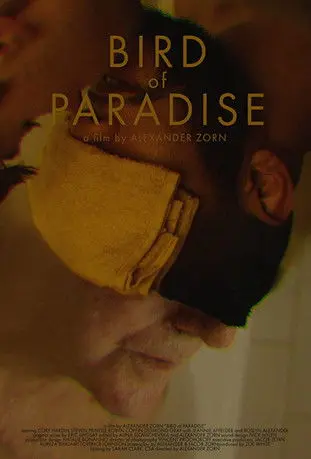 Bird of Paradise (2019)