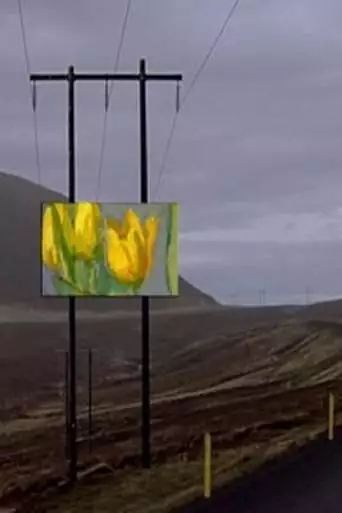 Forged Paintings in Real Icelandic Landscapes (2004)