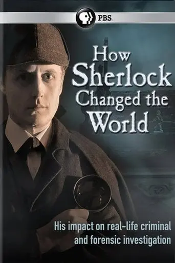 How Sherlock Changed the World (2013)
