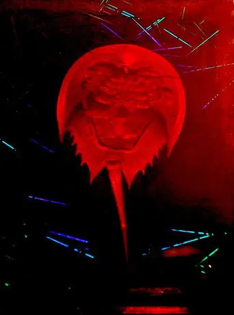 A Horseshoe Crab Story (2023)